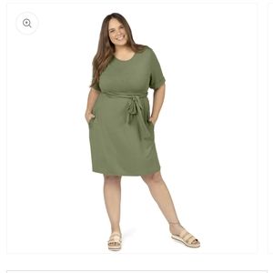 Kindred Bravely Elena Nursing and Maternity Tie Dress